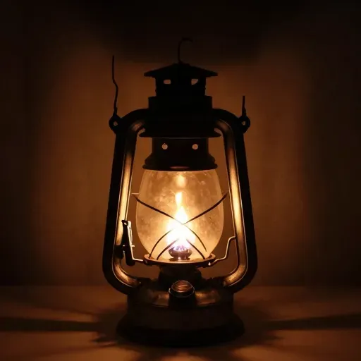 Từ vựng 诞 – sinh ra, ngày sinh; hoang đường