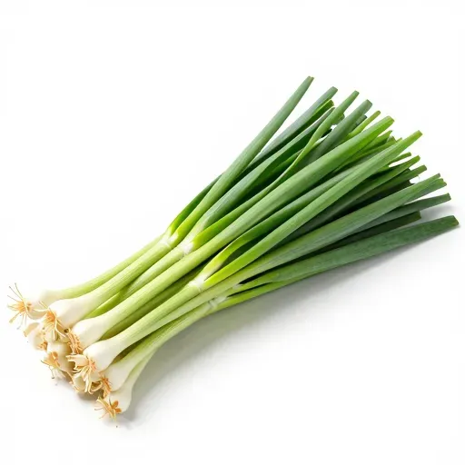 Từ vựng 韭菜 – Hẹ, lá hẹ