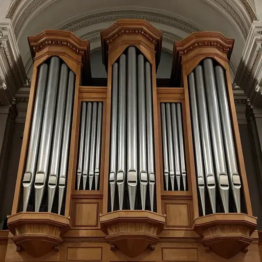 Từ vựng 风琴 – Đàn organ
