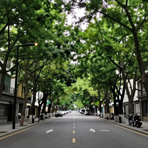 Từ vựng 大道 – Đại lộ, đường lớn