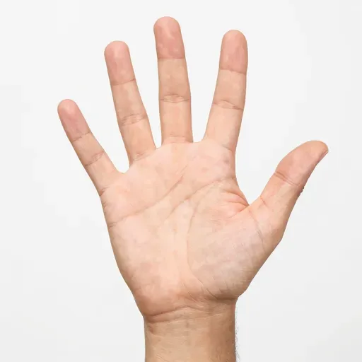 Từ vựng 五 – số năm, năm
