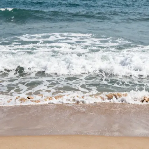 Từ vựng 海边 – Bên biển, bãi biển