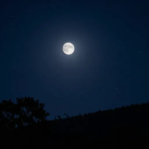 Từ vựng 夜晚 – Buổi tối